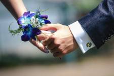 Elie POUYANNE - DIRECTED BY ELIE