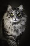 Philippe MURTAS - PHILIPPE MURTAS PHOTOGRAPHE