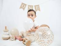 Manon HOGUET - Le citron